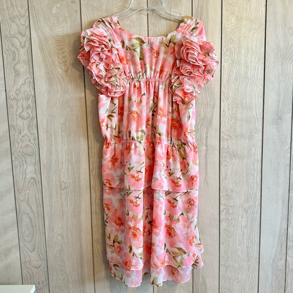 NWT MISA Los Angeles Lily Dress in Blushing Flora - Picture 5 of 9